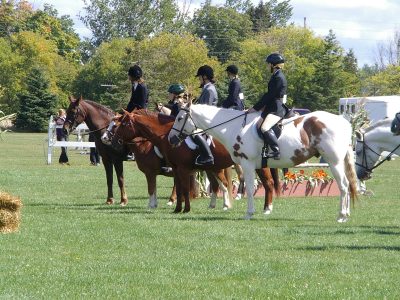 #25 Port Hope Fair Horse S 2